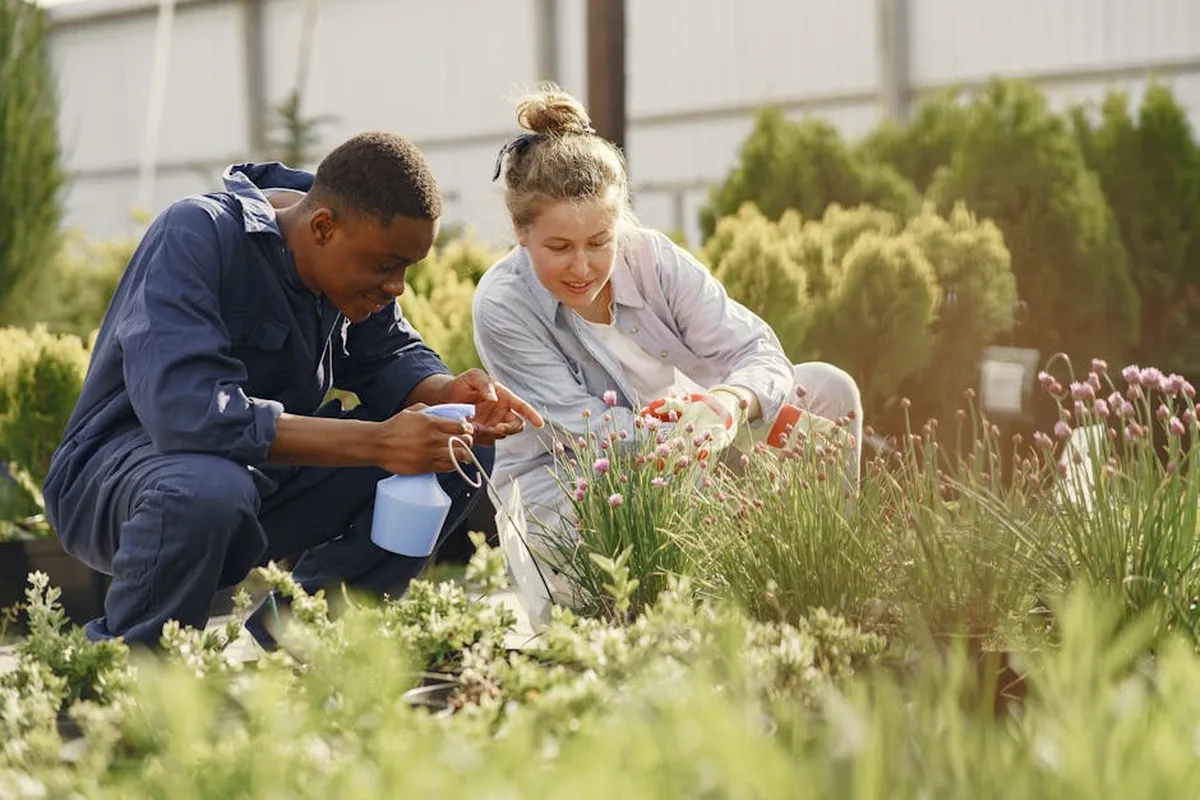Beautiful landscaped garden